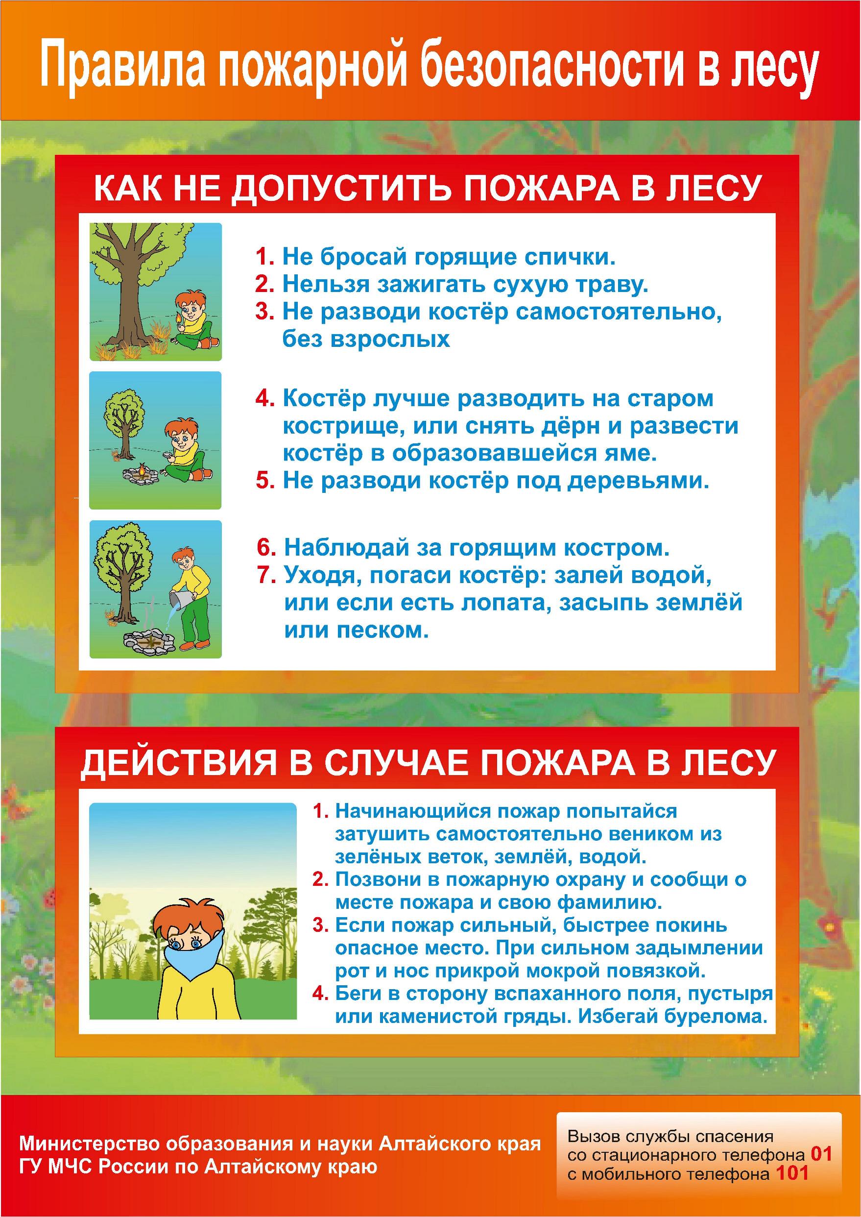 Правила пожарной безопасности в лесу