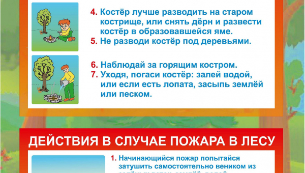 Правила пожарной безопасности в лесу