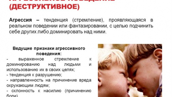 Агрессивное поведение подростков: причины и формы проявления