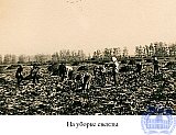 Александрова (Колядзина) Надежда Николаевна