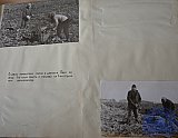 Воспитание творческого отношения