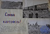 Воспитание творческого отношения