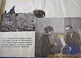 Воспитание творческого отношения